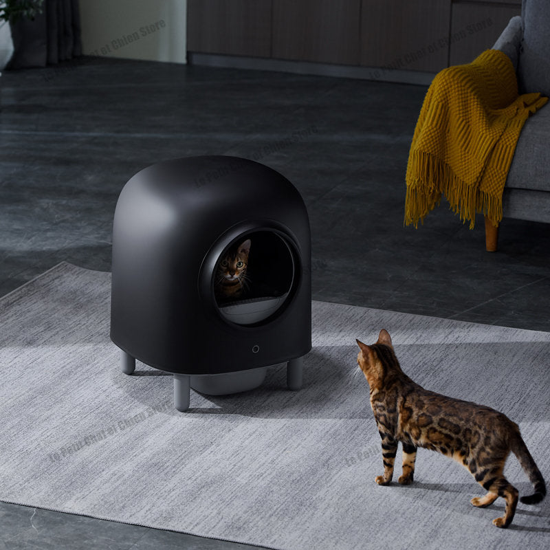 Automatic Self-Cleaning Litter Box