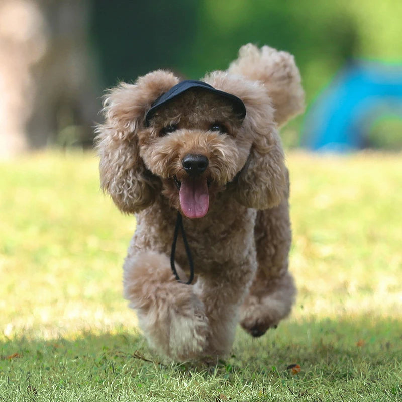 Stylish Summer Dog Hat