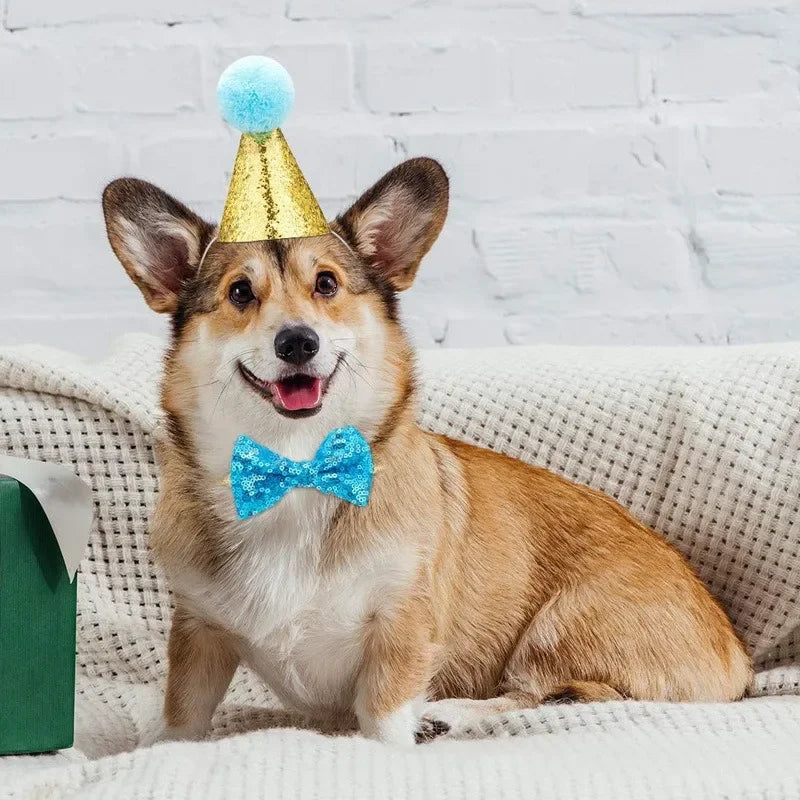 Adorable Pet Birthday Cap