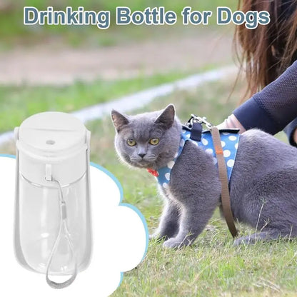 Portable Dog Water Dispenser