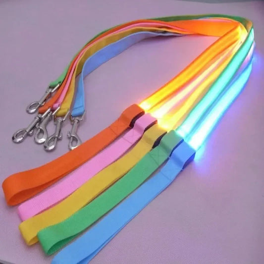 Luminous LED Dog Leash