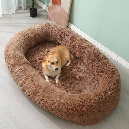 Orthopedic Dog Bed