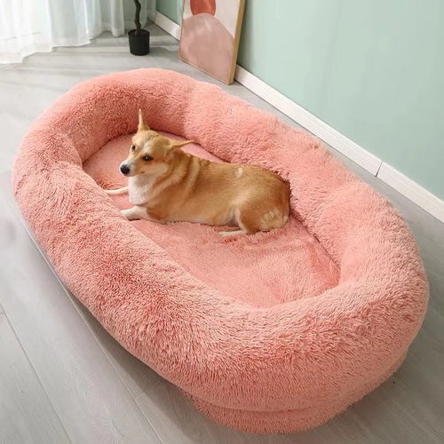 Orthopedic Dog Bed