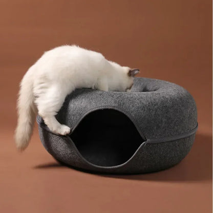 Donut Cat Tunnel