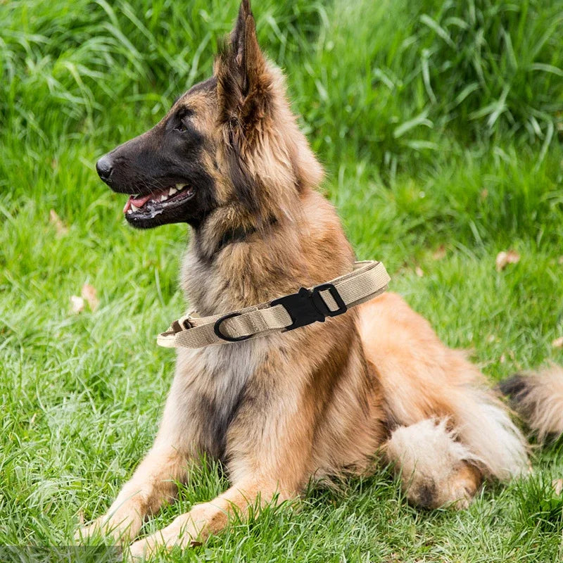 Tactical Dog Training Collar