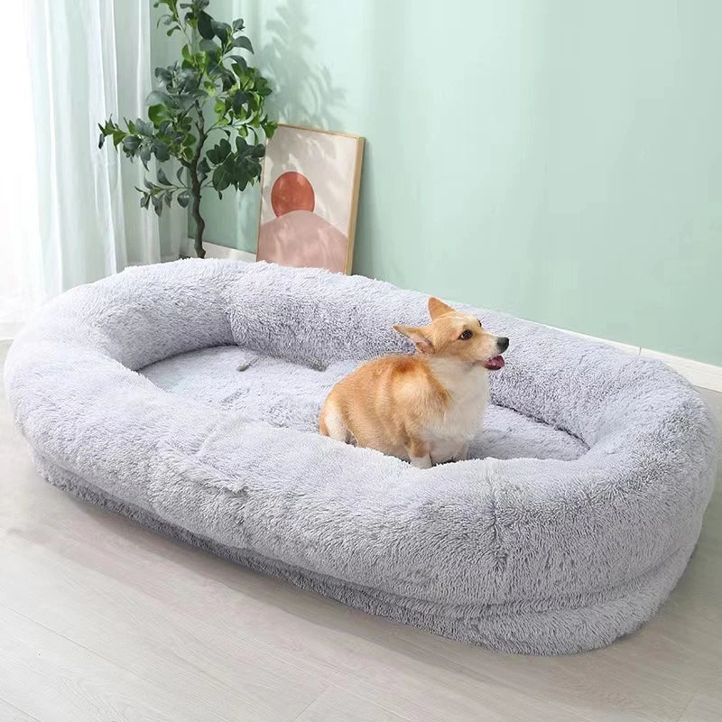 Orthopedic Dog Bed