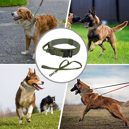 Tactical Dog Training Collar