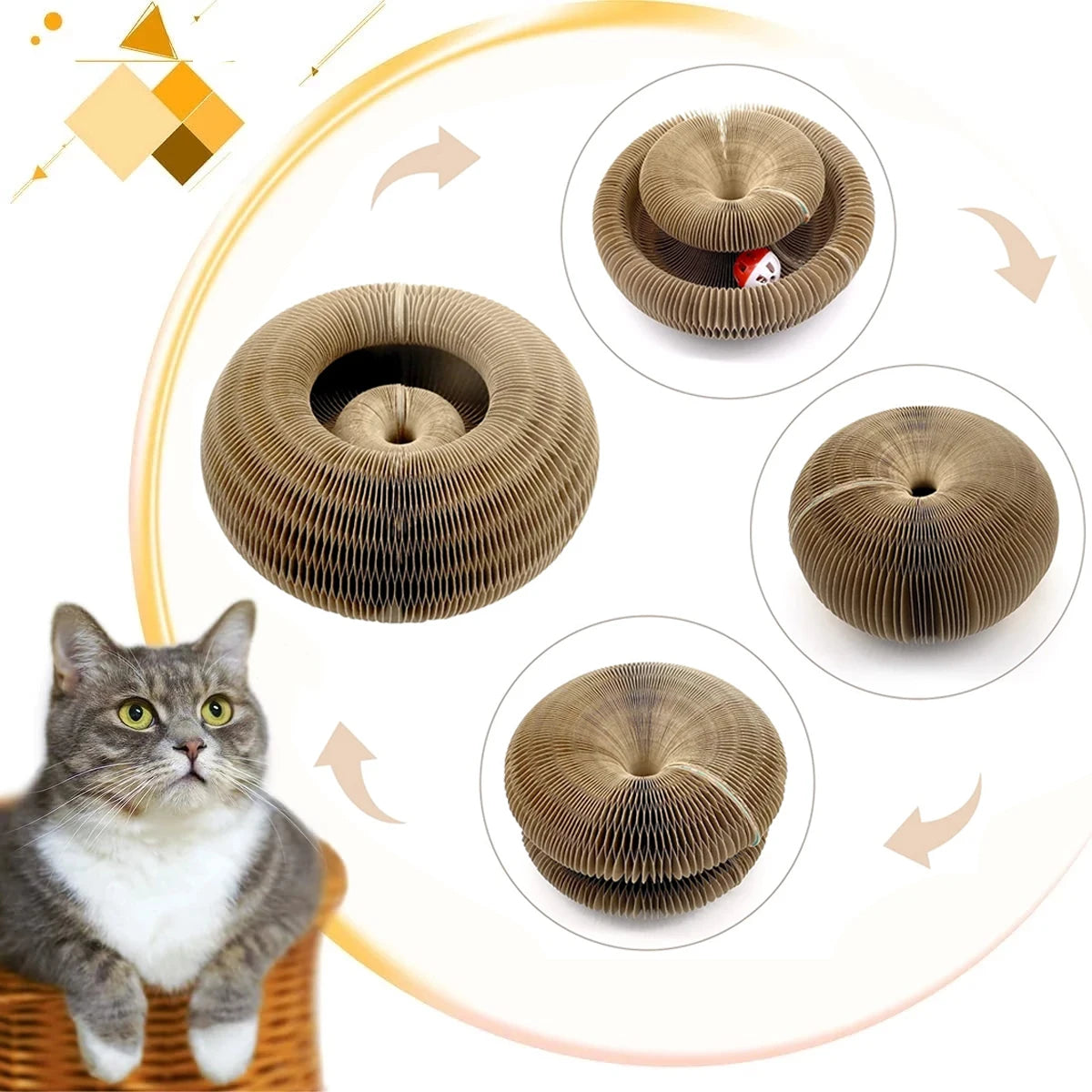 Magic Organ Cat Scratcher