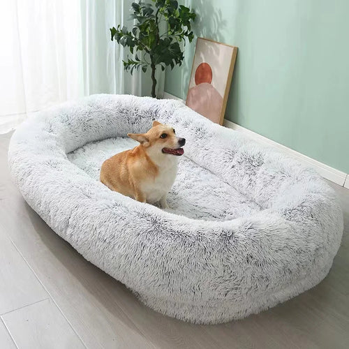 Orthopedic Dog Bed