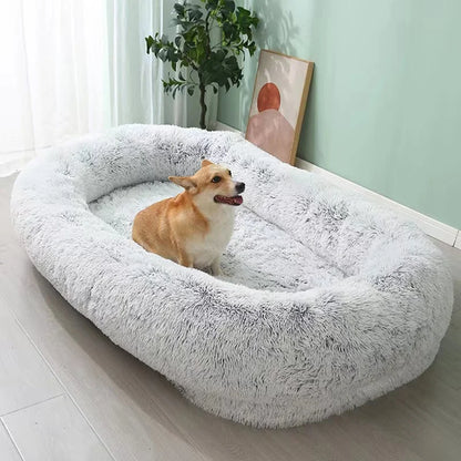 Orthopedic Dog Bed