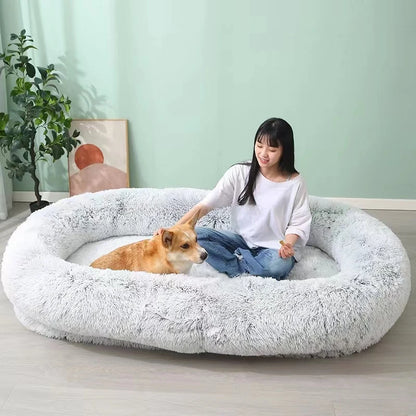 Orthopedic Dog Bed