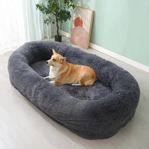 Orthopedic Dog Bed