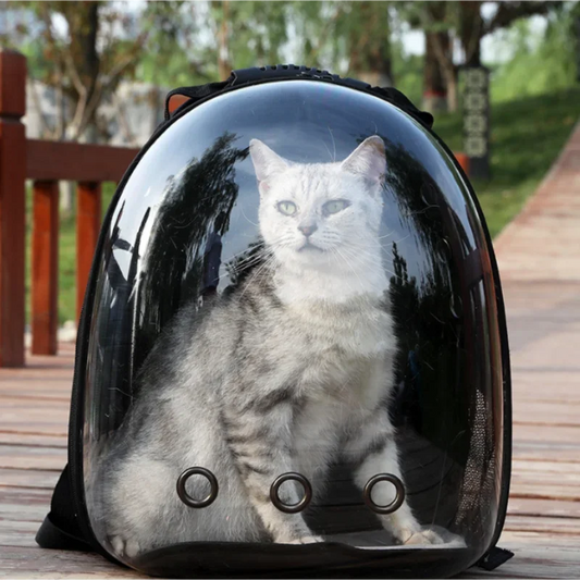 Space Capsule Cat Backpack