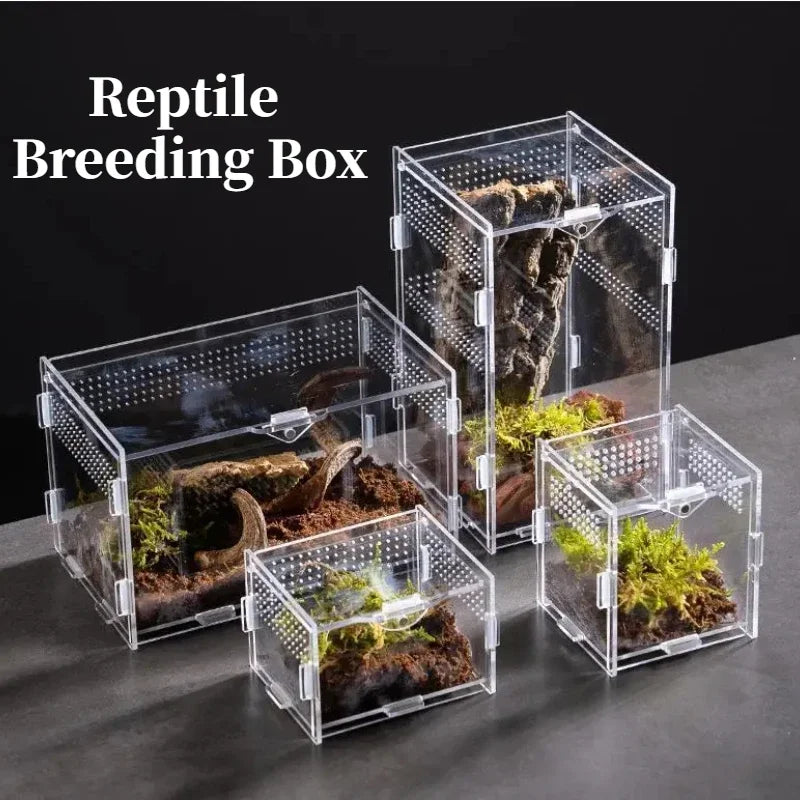 Nano Reptile Breeding Terrarium