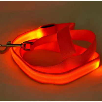 Luminous LED Dog Leash