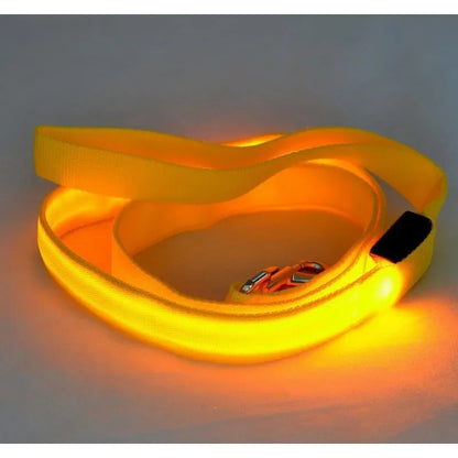 Luminous LED Dog Leash