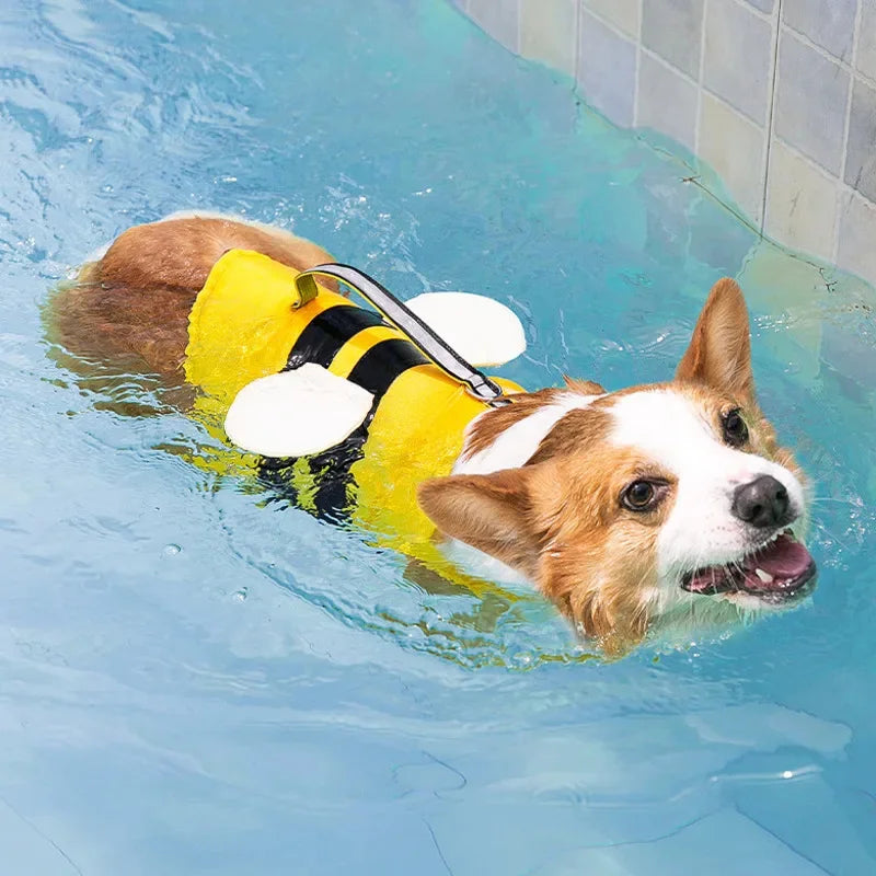 Cute Dog Life Jacket