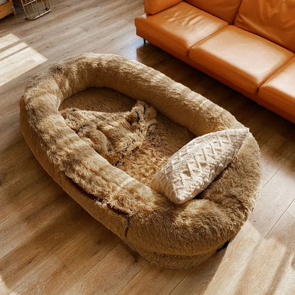 Orthopedic Dog Bed