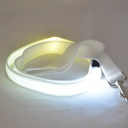 Luminous LED Dog Leash