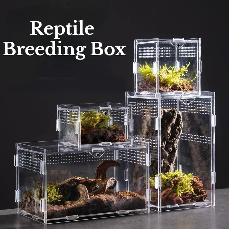 Nano Reptile Breeding Terrarium