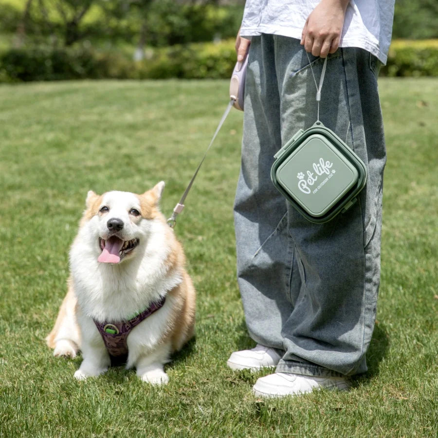 Portable Double-Decker Travel Bowl