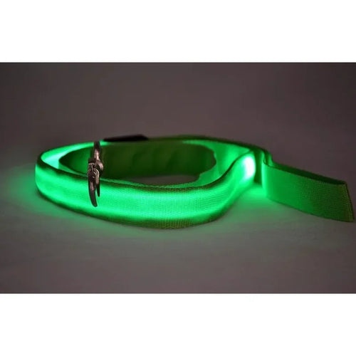 Luminous LED Dog Leash